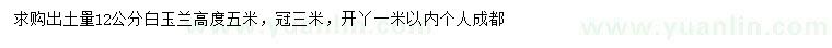 求購12公分白玉蘭
