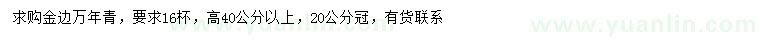 求購高40公分以上金邊萬年青