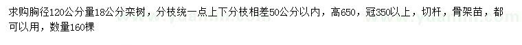 求購(gòu)胸徑120量18公分欒樹(shù)