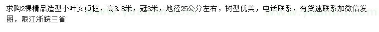 求購地徑25公分左右小葉女貞樁
