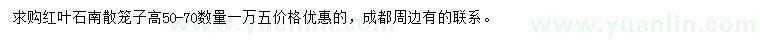 求購高50-70公分紅葉石楠散籠子
