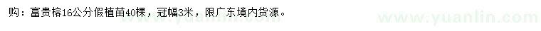 求購16公分富貴榕假植苗