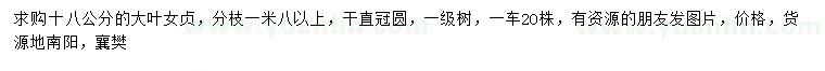 求購18公分大葉女貞