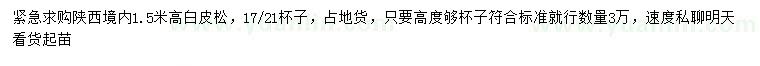求購高1.5米白皮松