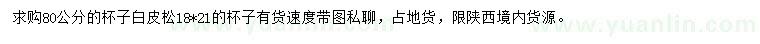 求購80公分白皮松