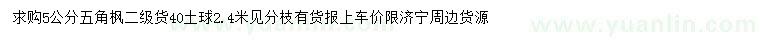 求購5公分五角楓