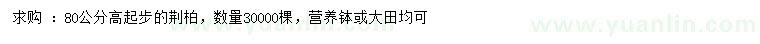 求購高80公分起步荊柏