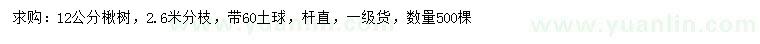 求購12公分楸樹