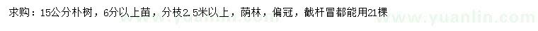 求購(gòu)15公分樸樹(shù)