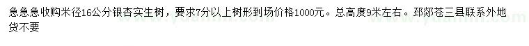 求購米徑16公分銀杏