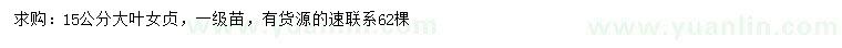 求購15公分大葉女貞
