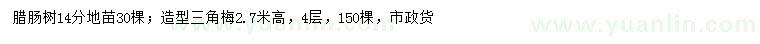 求購(gòu)14公分臘腸樹(shù)、高2.7米造型三角梅