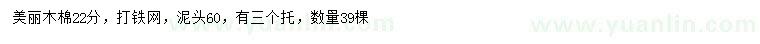 求購22公分美麗木棉