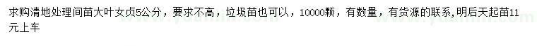 求購5公分大葉女貞