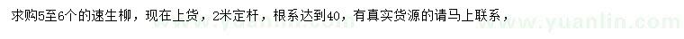 求購5-6公分速生柳