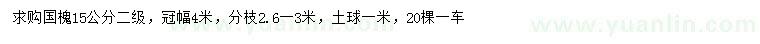 求購15公分國槐