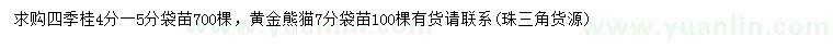 求購4-5公分四季桂、7公分黃金熊貓