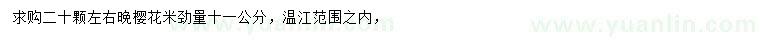 求購(gòu)米徑量11公分晚櫻