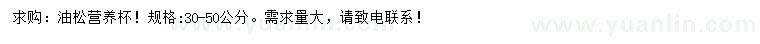 求購30-50公分油松