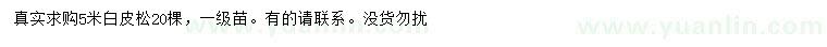 求購(gòu)5米白皮松
