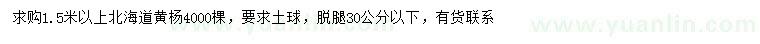 求購1.5米以上北海道黃楊