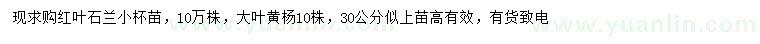 求購高30公分紅葉石楠、大葉黃楊