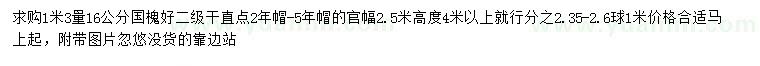 求購1.3米量16公分國槐