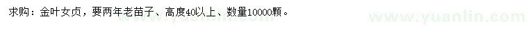 求購高40公分以上金葉女貞