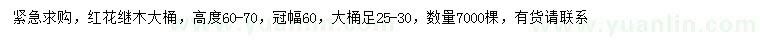 求購(gòu)高60-70公分紅花繼木