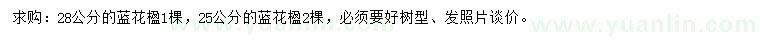 求購(gòu)25、28公分藍(lán)花楹