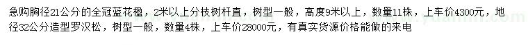 求購(gòu)胸徑21公分藍(lán)花楹、地徑32公分造型羅漢松