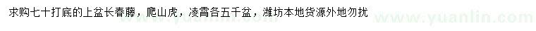 求購長春藤、爬山虎、凌霄