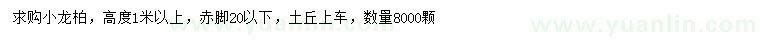 求購高1米以上小龍柏