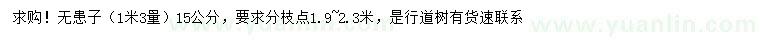 求購1.3米量15公分無患子