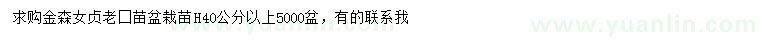 求購高40公分以上金森女貞