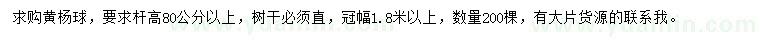 求購高80公分以上黃楊球