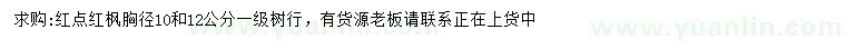 求購胸徑10、12公分紅點紅楓