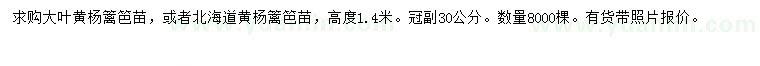 求購(gòu)高1.4米大葉黃楊、北海道黃楊