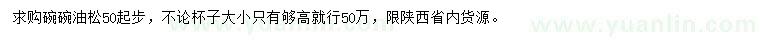 求購50公分起步油松