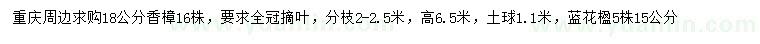 求購(gòu)18公分香樟、15公分藍(lán)花楹