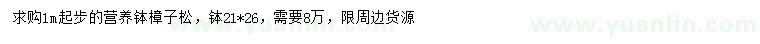 求購1米起步樟子松