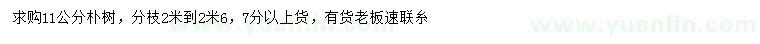 求購11公分樸樹