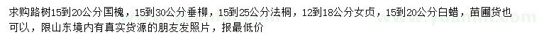 求購國槐、垂柳、法桐等