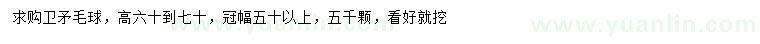 求購高60-70公分衛(wèi)矛毛球