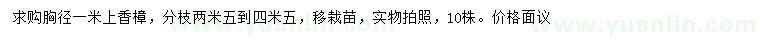 求購胸徑1米以上香樟
