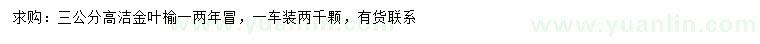 求購(gòu)3公分高接金葉榆