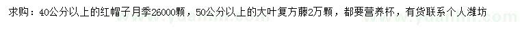 求購(gòu)40公分以上紅帽子月季
