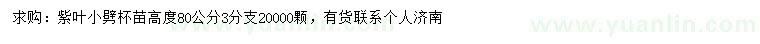 求購高80公分紫葉小劈