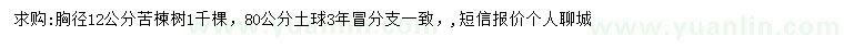 求購胸徑12公分苦楝