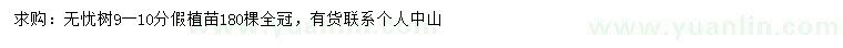 求購9-10公分無憂樹